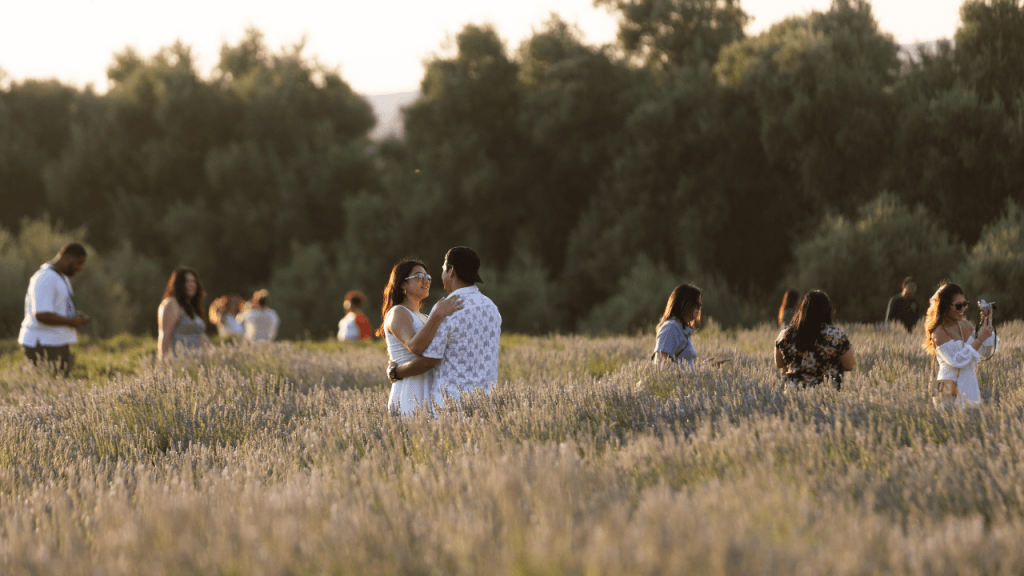 image 694 Festival 2025