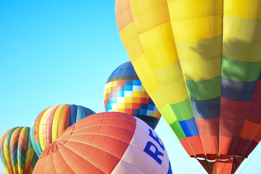 image 698 Festival 2025