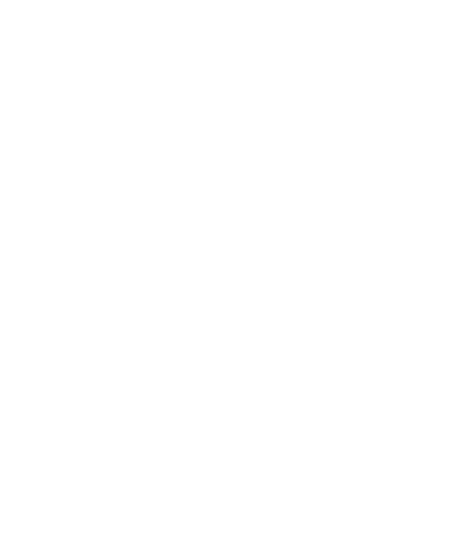 image 705 Festival 2025