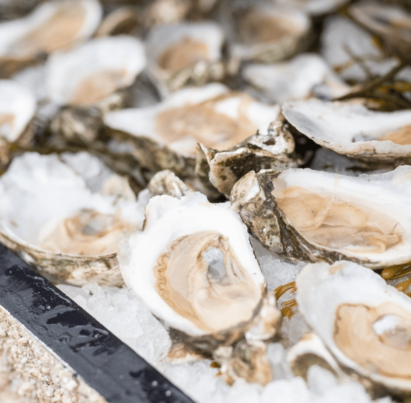 image 712 Festival 2025