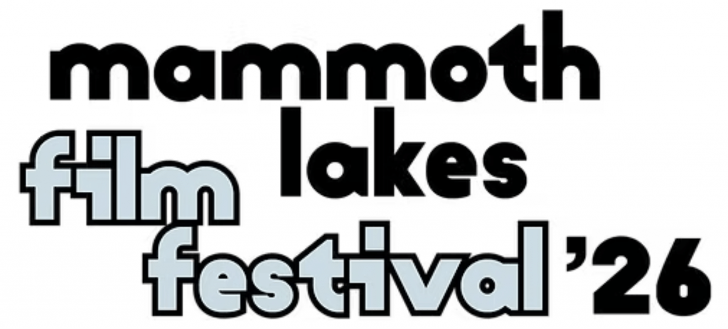 image 719 Festival 2025