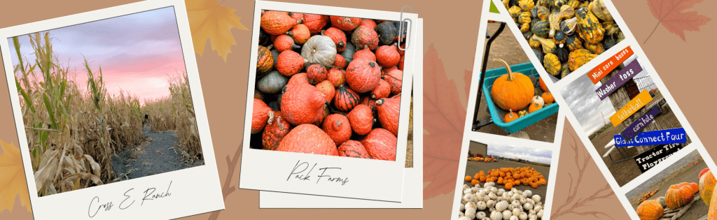 image 736 Festival 2025