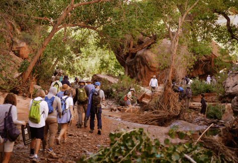 image 737 Festival 2025