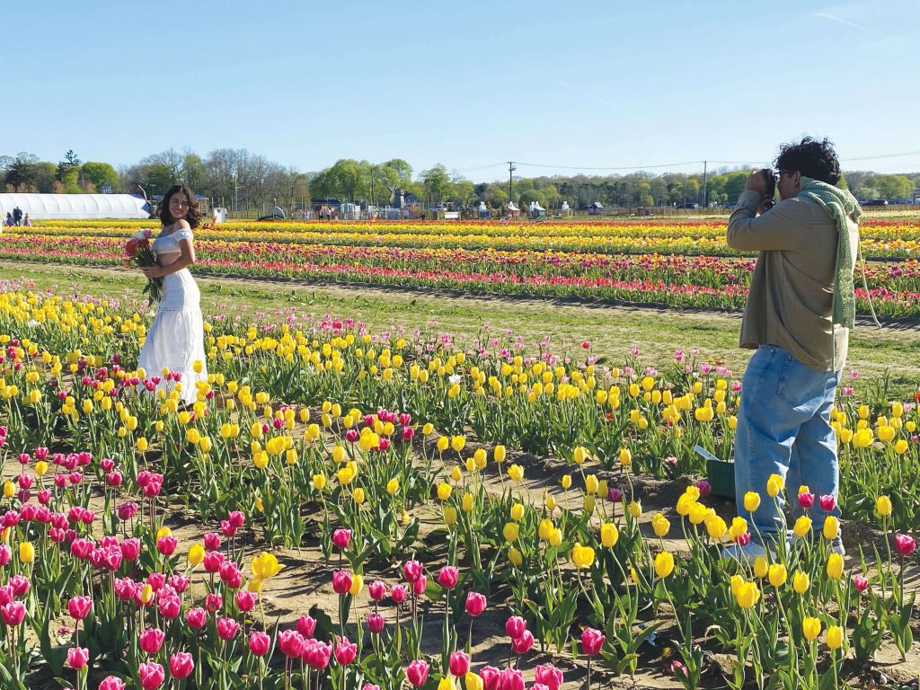 image 759 Festival 2025