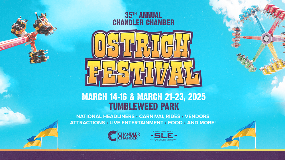 image 767 Festival 2025