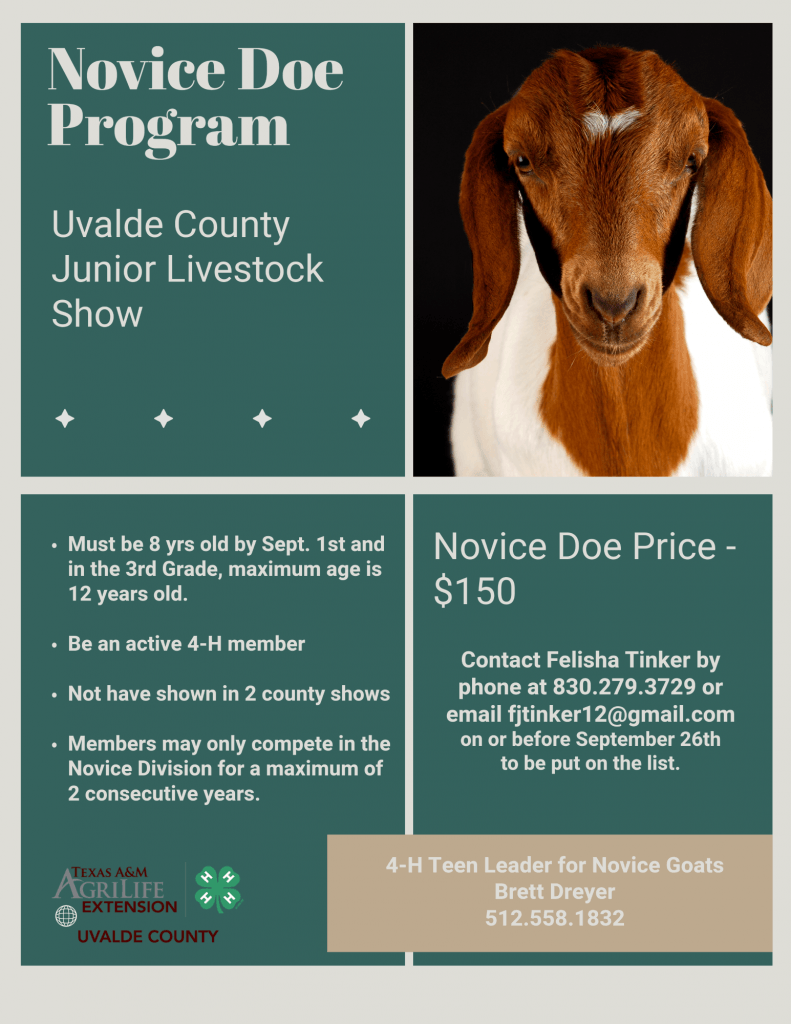 image 768 Festival 2025