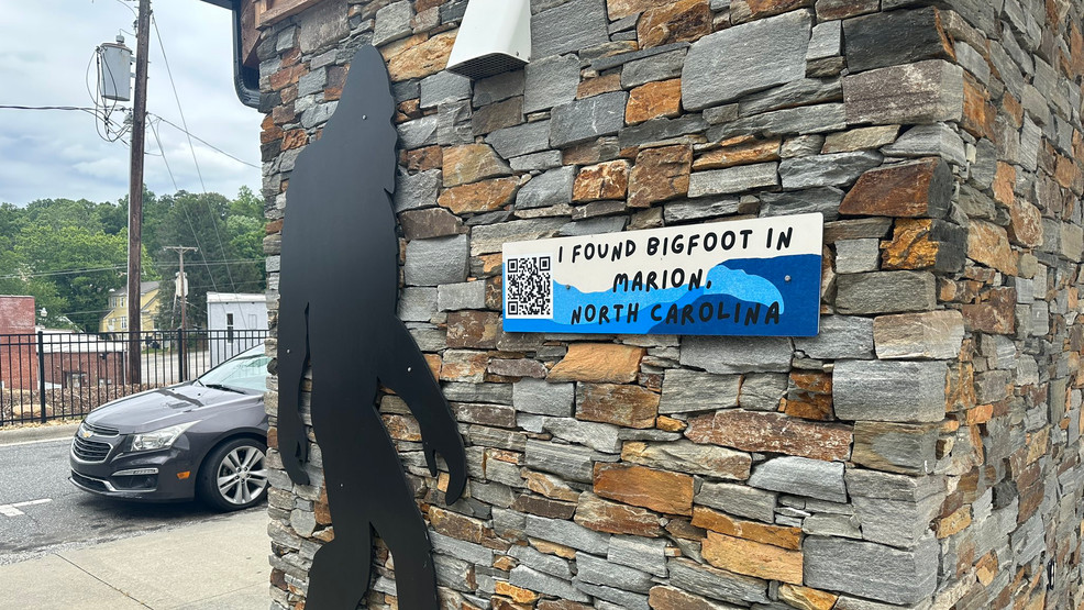 image 774 Festival 2025