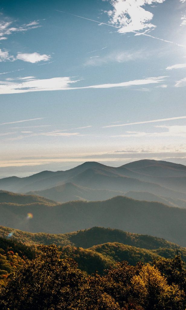 image 775 Festival 2025