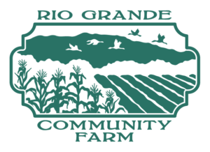 image 784 Festival 2025