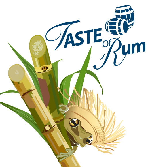 image 79 Festival 2025