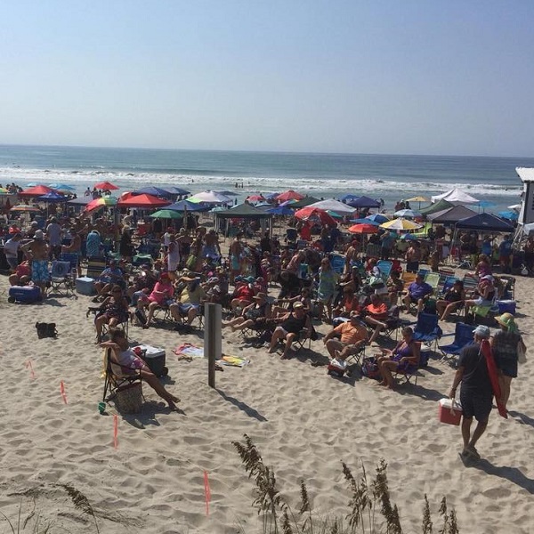 image 795 Festival 2025