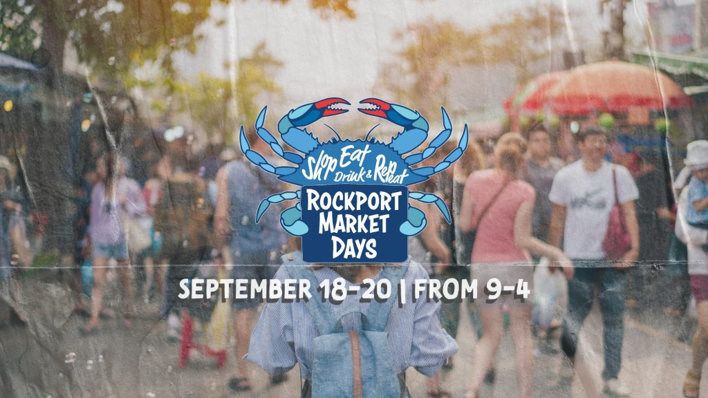 image 798 Festival 2025