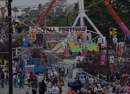 image 815 Festival 2025