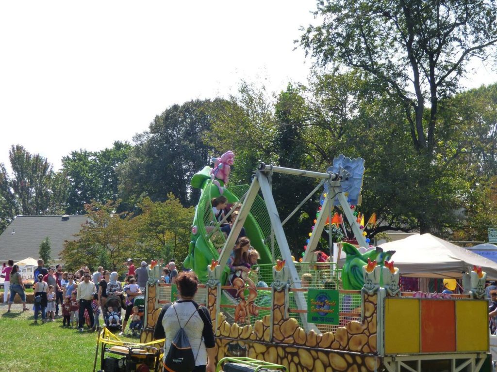 image 823 Festival 2025