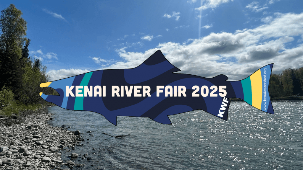 image 86 Festival 2025