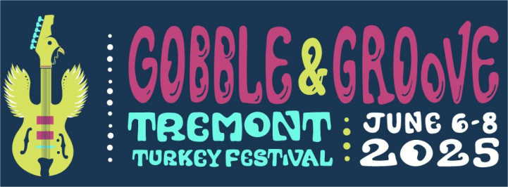 image 87 Festival 2025