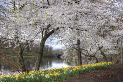 image 873 Festival 2025