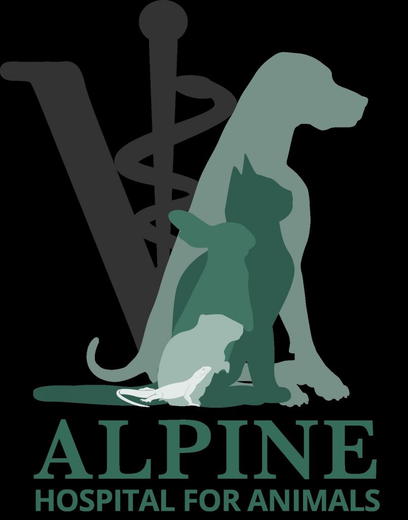 image 9 Festival 2025