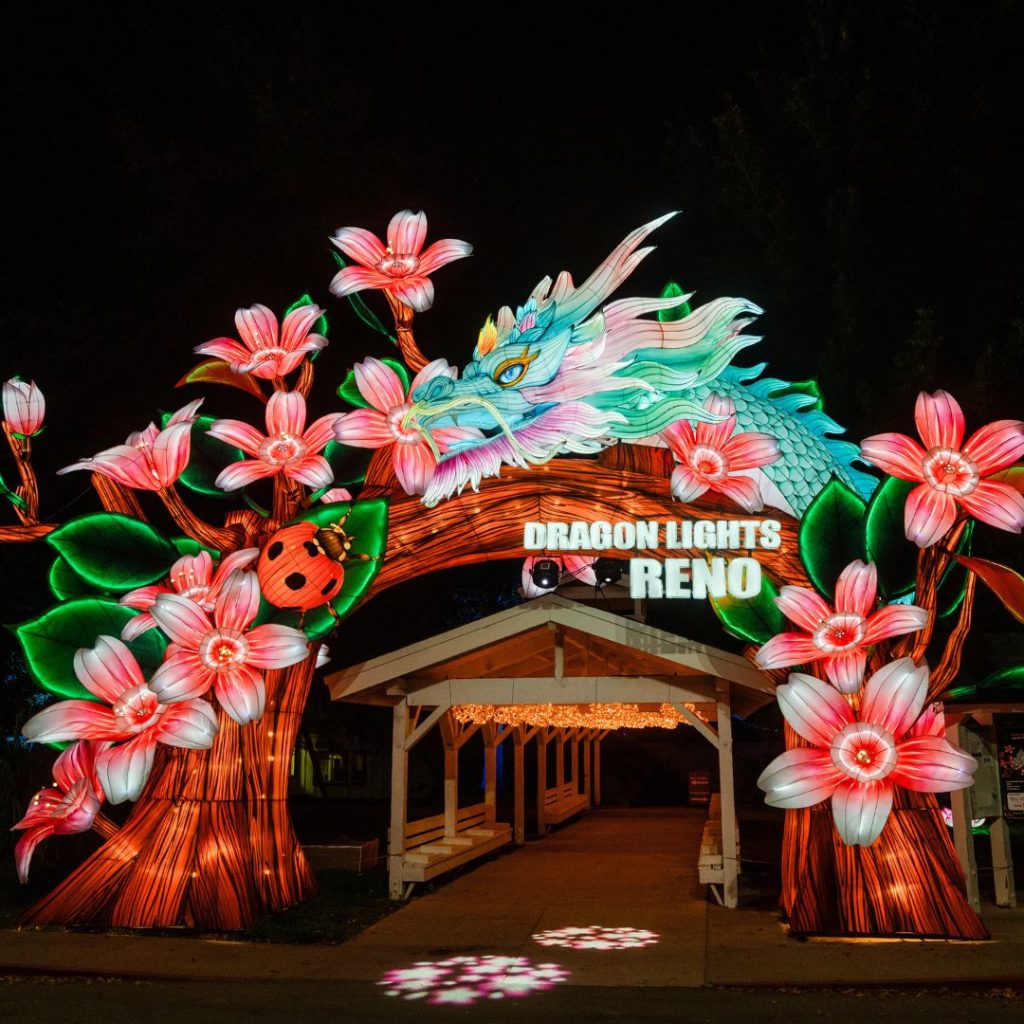 image 914 Festival 2025