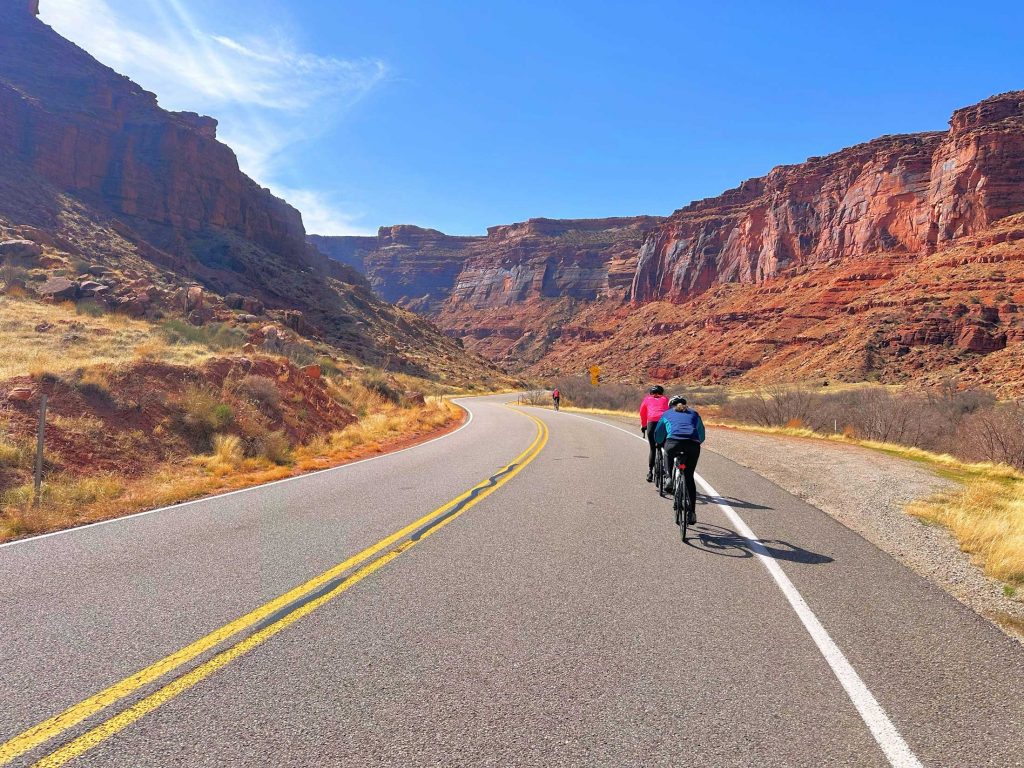 image 965 Festival 2025