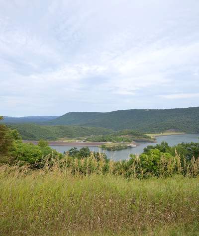 image 981 Festival 2025