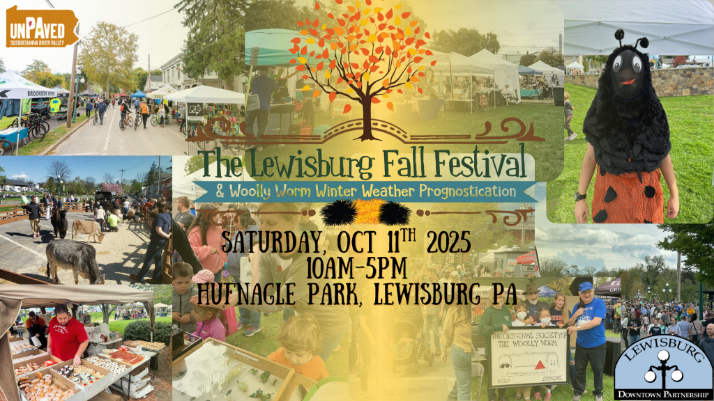 image 124 Festival 2025