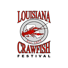 image 13 Festival 2025