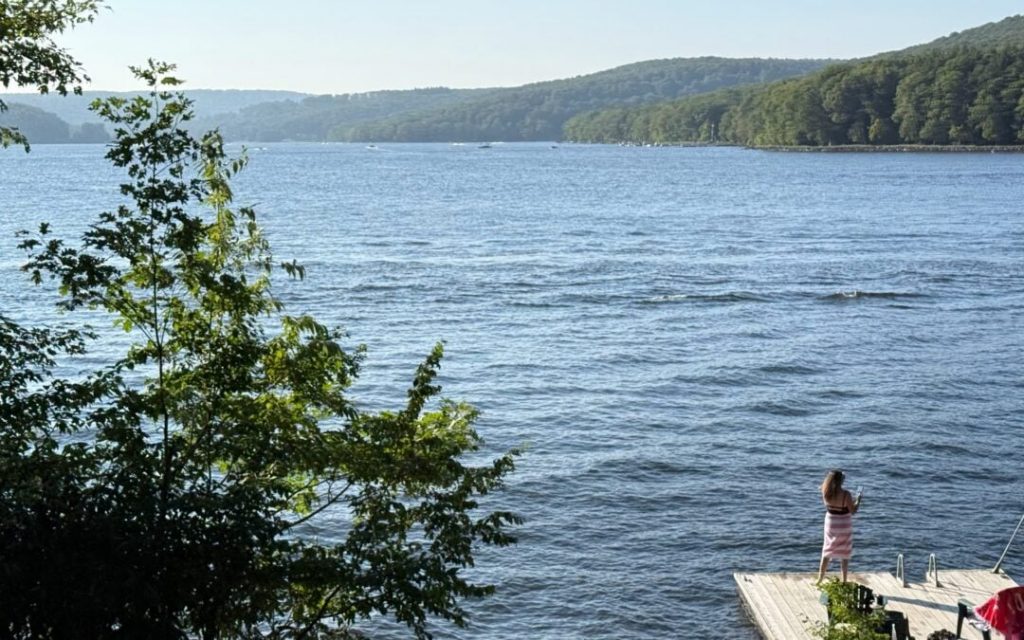 image 131 Festival 2025