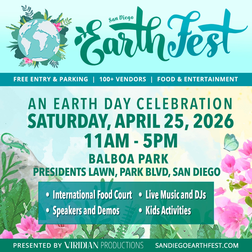 image 139 Festival 2025