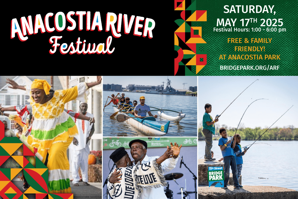 image 144 Festival 2025