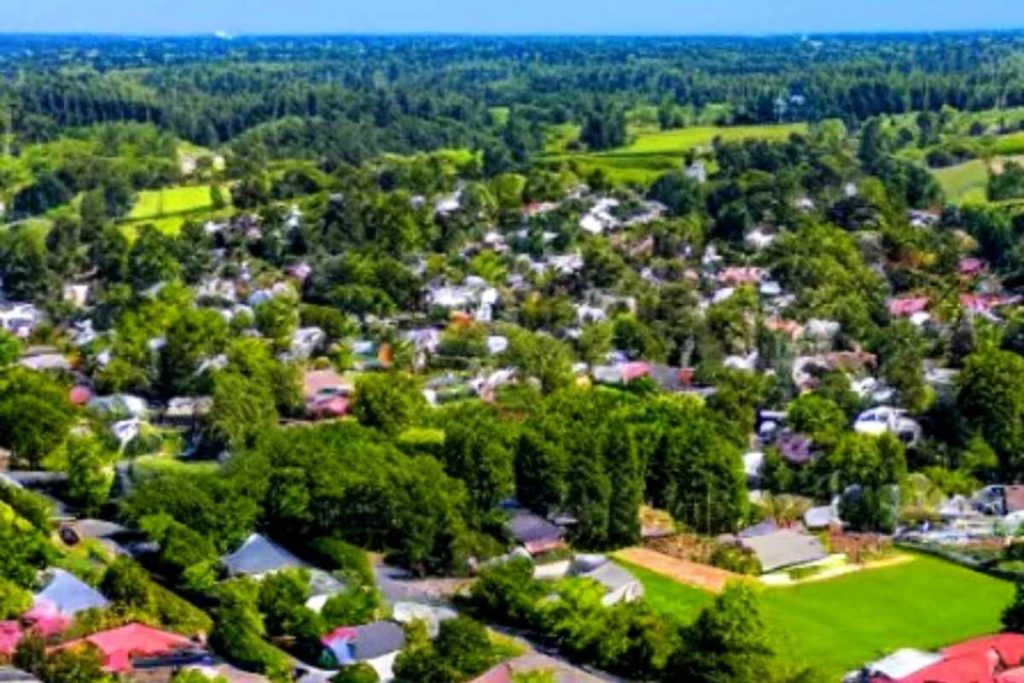 image 148 Festival 2025