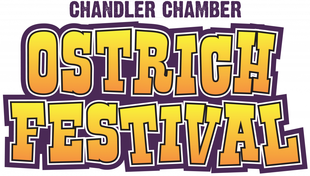 image 174 Festival 2025