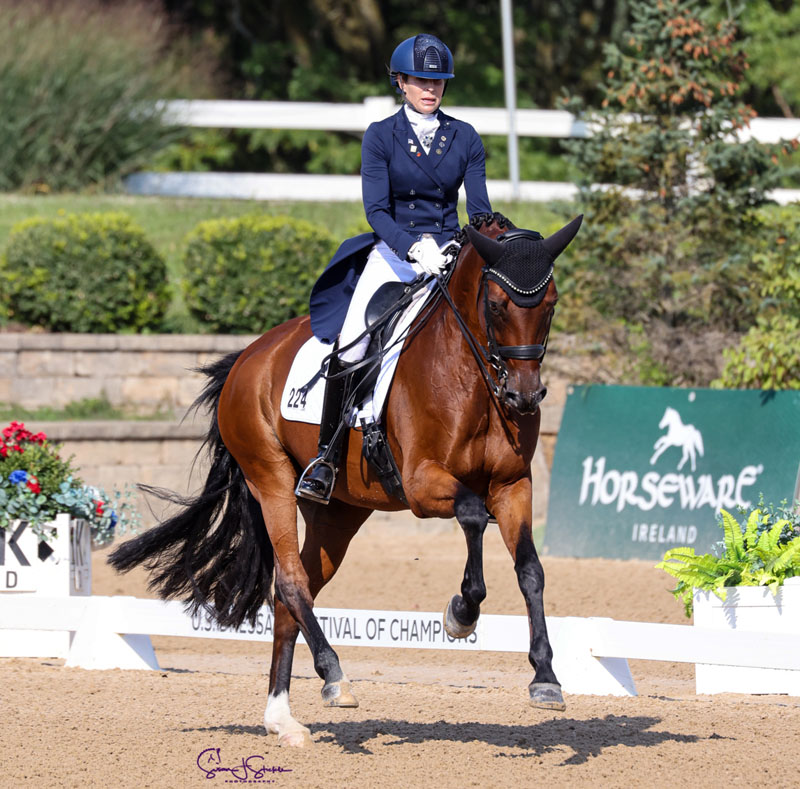 image 188 Festival 2025