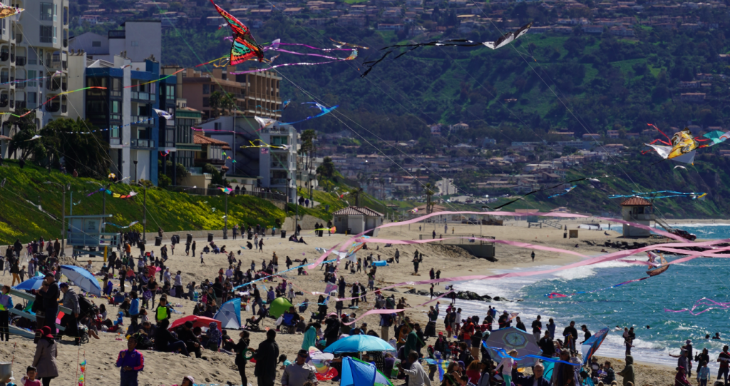 image 196 Festival 2025