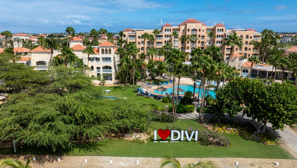 image 202 Festival 2025