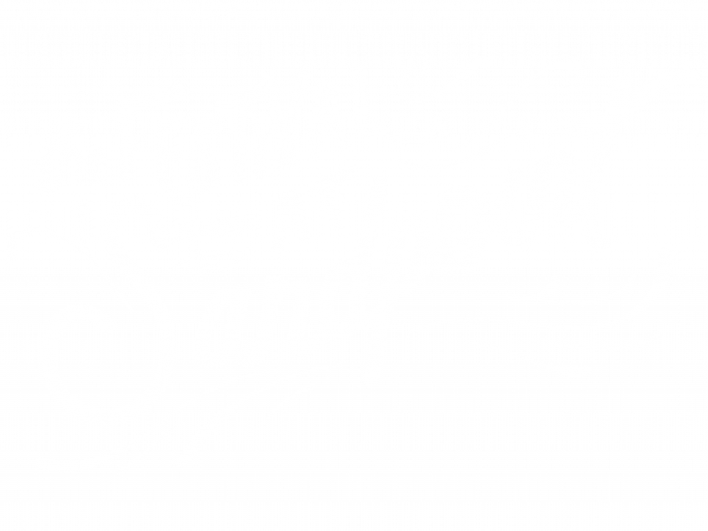 image 206 Festival 2025