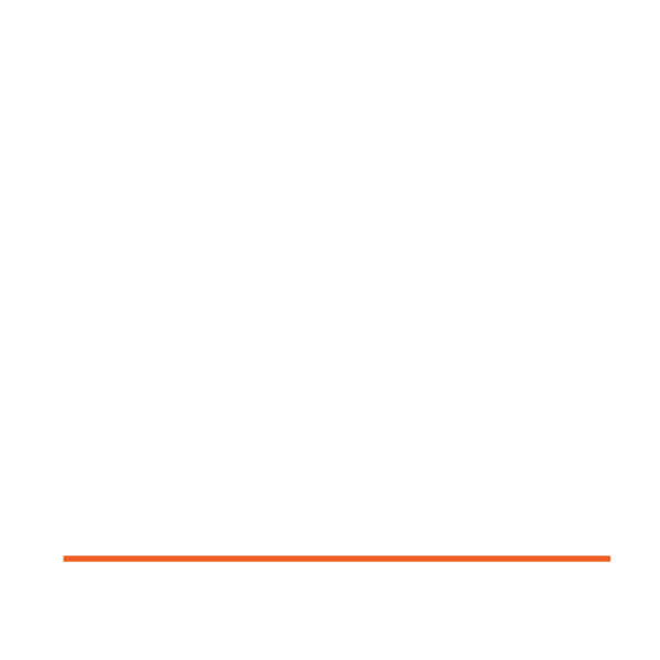 image 209 Festival 2025