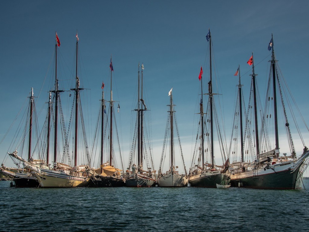 image 21 Festival 2025