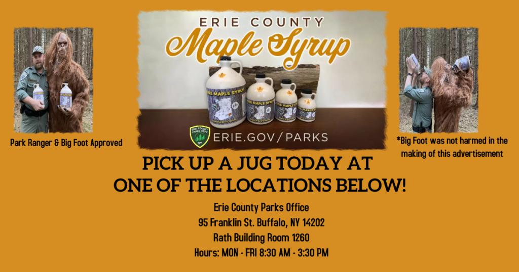 image 226 Festival 2025