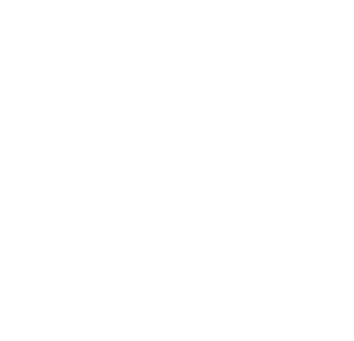 image 239 Festival 2025