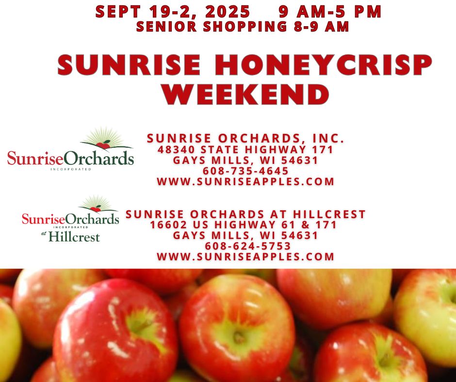 image 247 Festival 2025