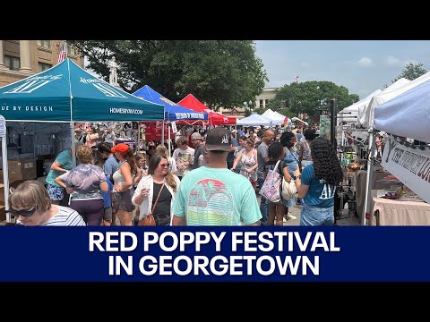 image 248 Festival 2025