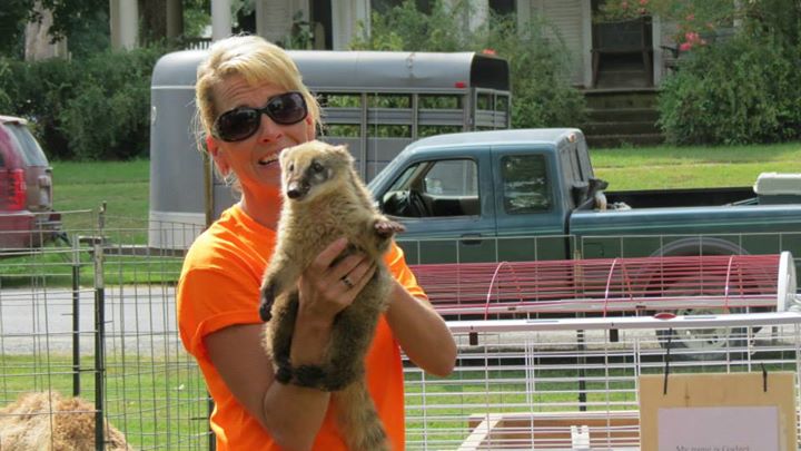 image 258 Festival 2025