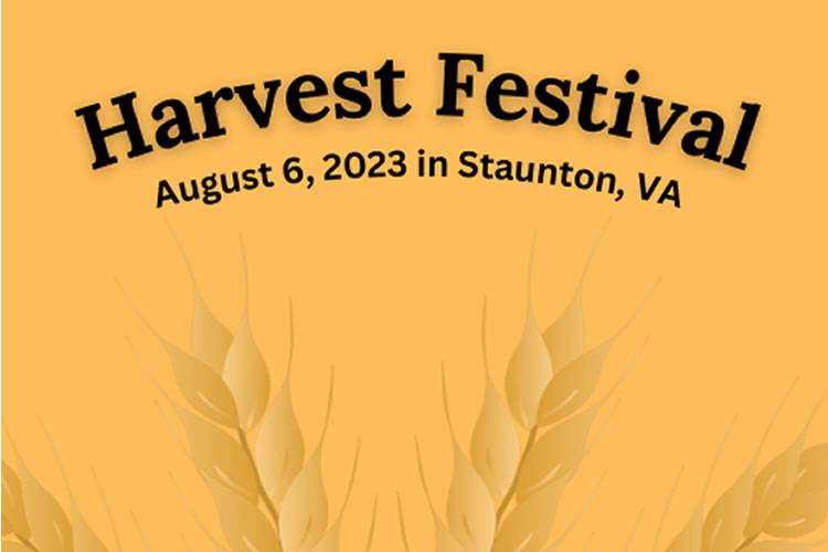 image 259 Festival 2025