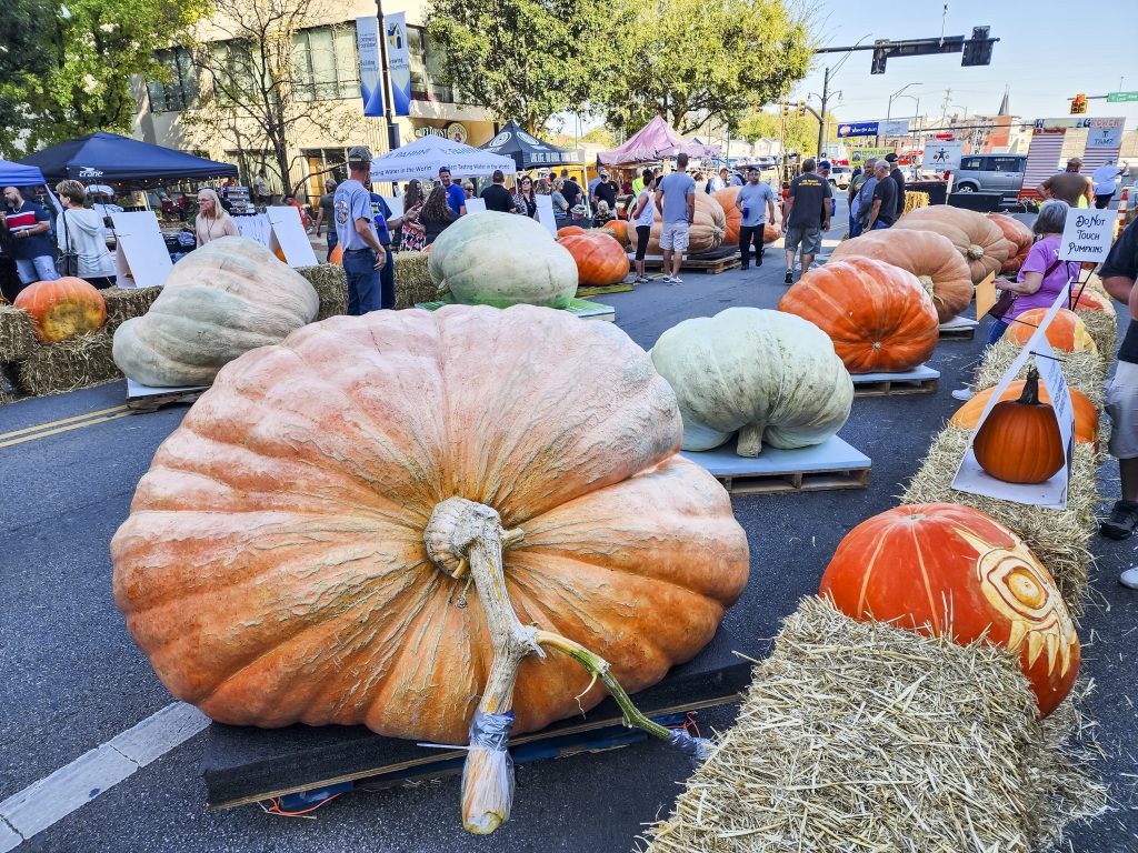 image 296 Festival 2025