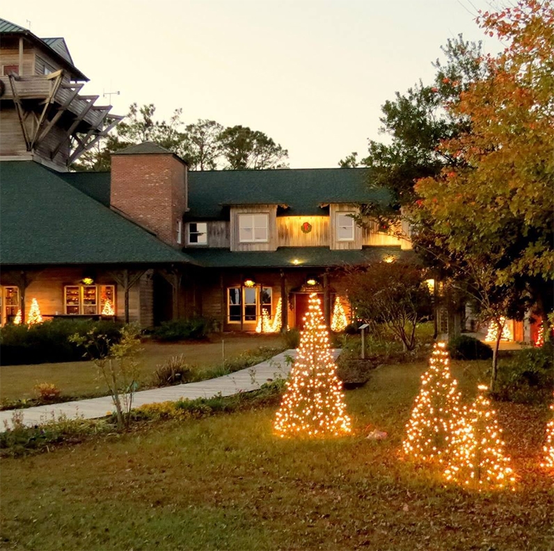 image 301 Festival 2025