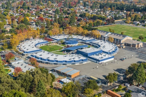 image 304 Festival 2025