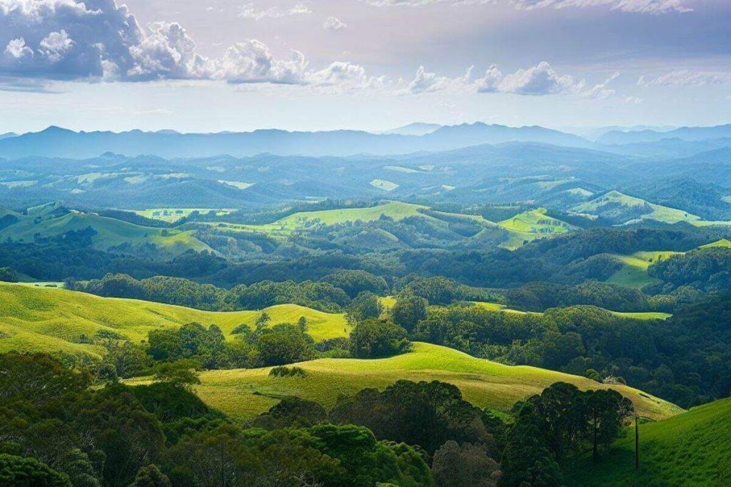 image 31 Festival 2025