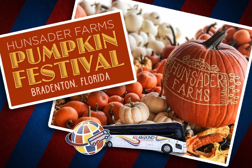 image 337 Festival 2025