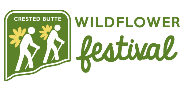 image 37 Festival 2025